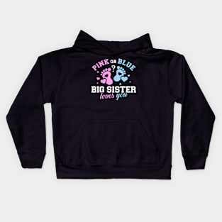 Gender Reveal Big Sister Family Kids Hoodie